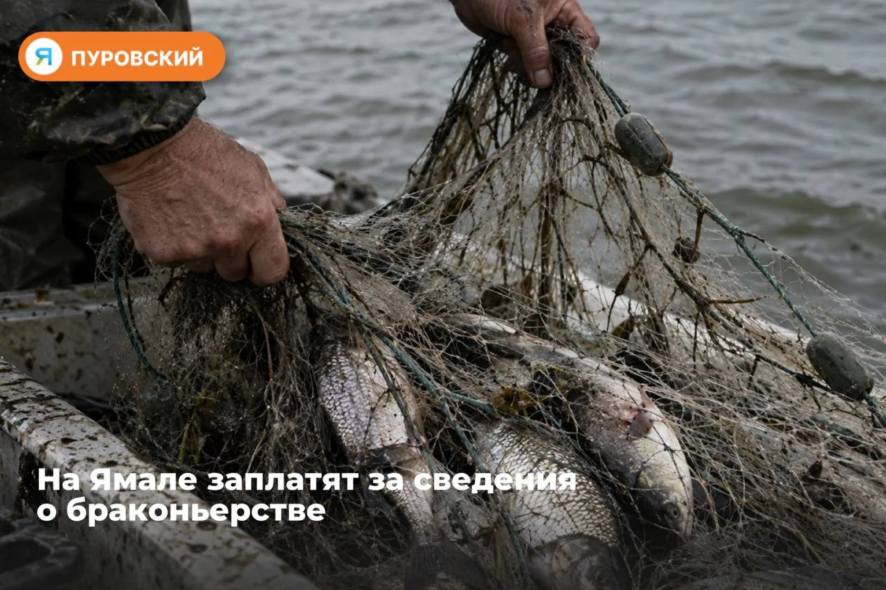 🙌4000 рублей за достоверную информацию о незаконной добыче рыбы