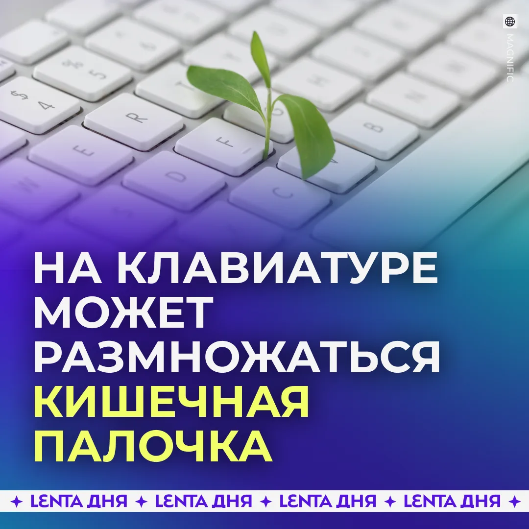 ⌨️ Клавиатура может стать рассадником бактерий, если есть за компьютером.
