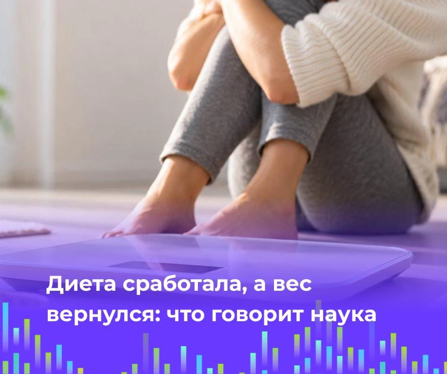 🥗 Диета сработала, а вес вернулся: что говорит наука