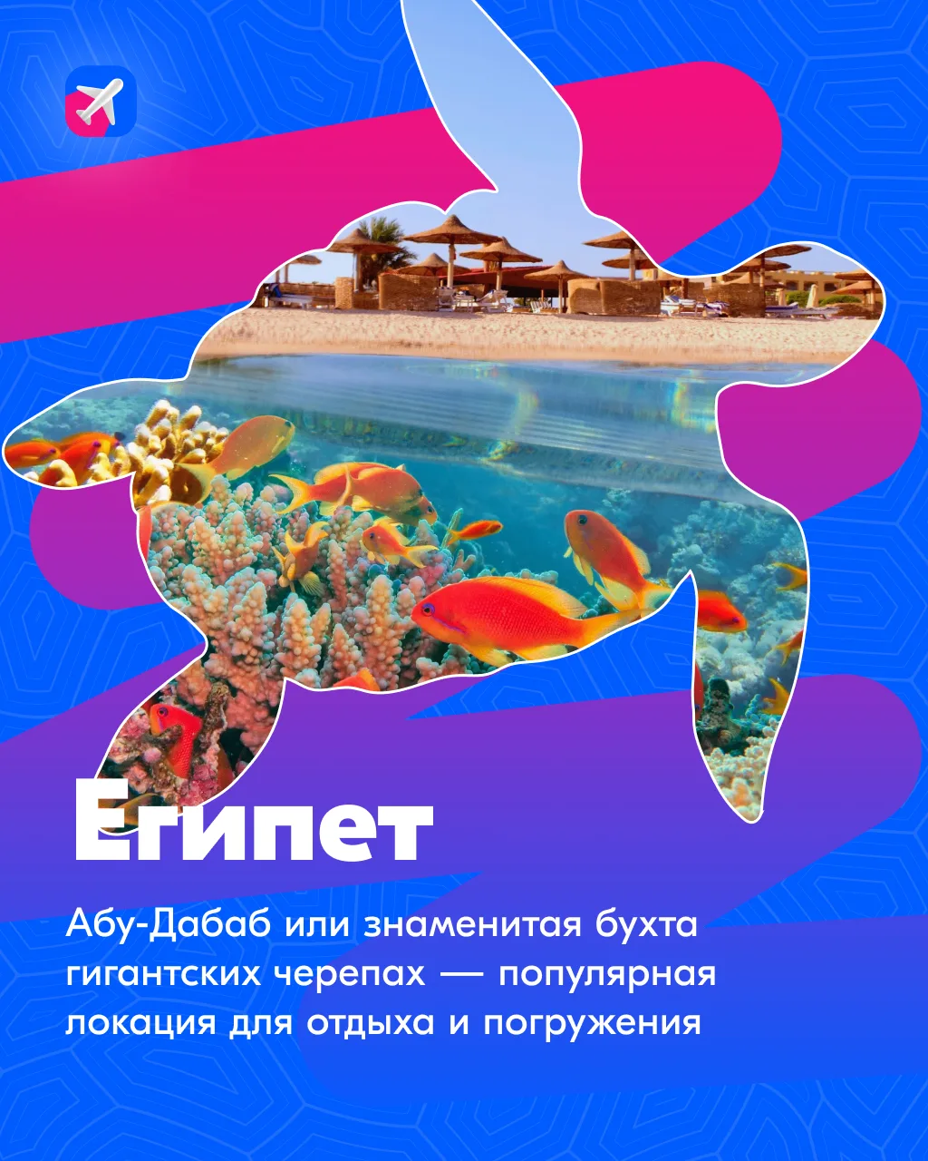 🐢 А если мы скажем, что День черепах существует, и празднуют его сегодня — 23 мая?  ✨ Нам кажется, т