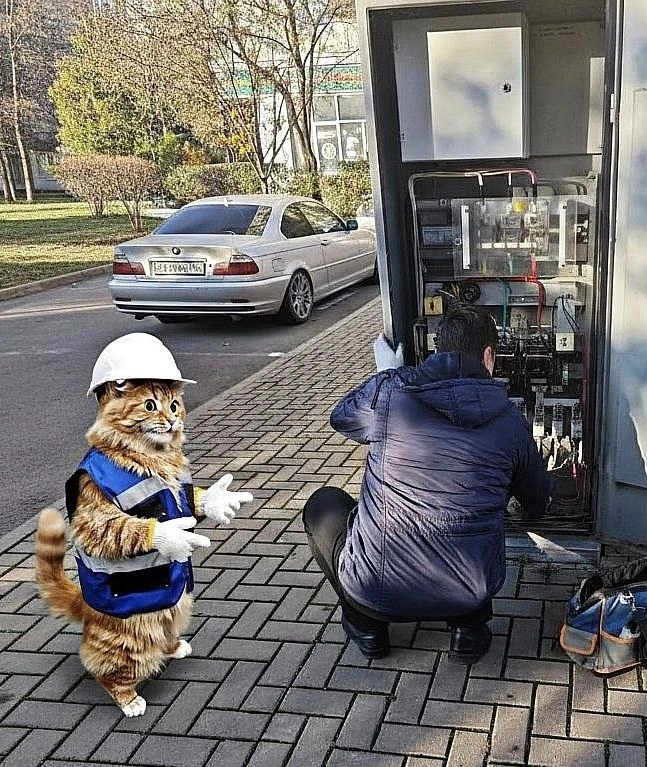 Напоминаем, завтра:
