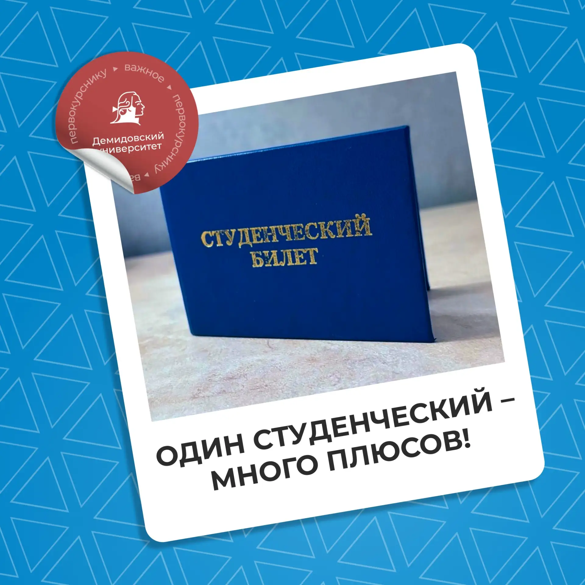 Студенческий билет – один из главных документов каждого демидовца!