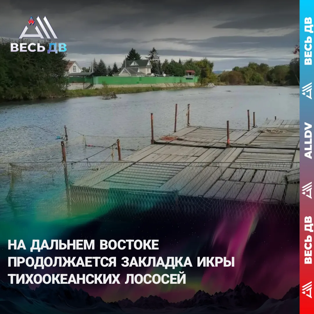 На Сахалине объемы ниже ожидаемых