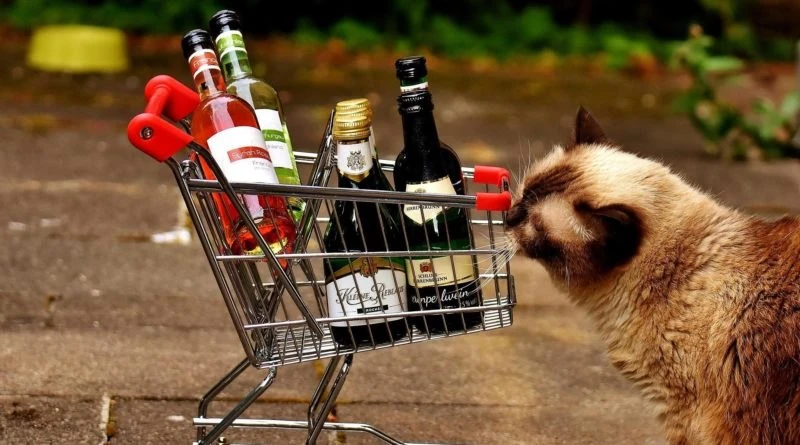 🍻 В Самаре 1 сентября введут полный запрет на продажу алкоголя! 📵
