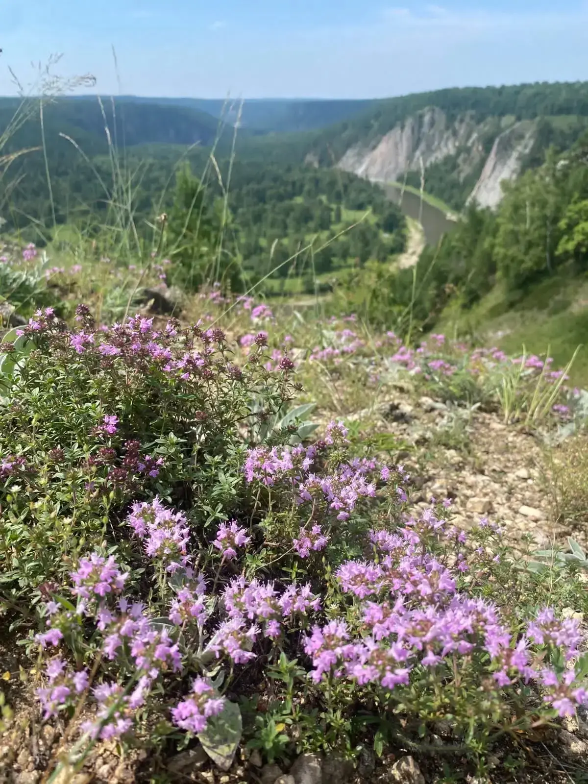⛰️🌊 Сохраняем краски ушедшего лета