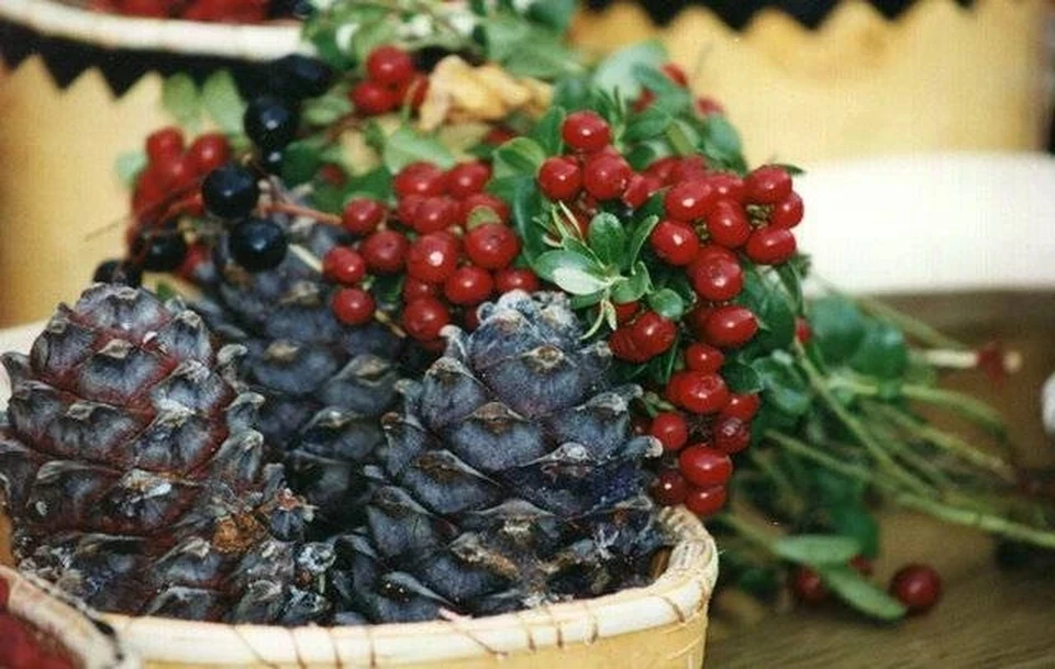 СБОР ДИКОРОСОВ

Установлены сроки сбора брусники, клюквы и кедрового ореха. 

В Департаменте лесного