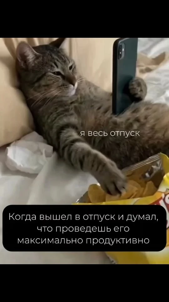 Видео: https://vk.ru/clip-220087755_456240036