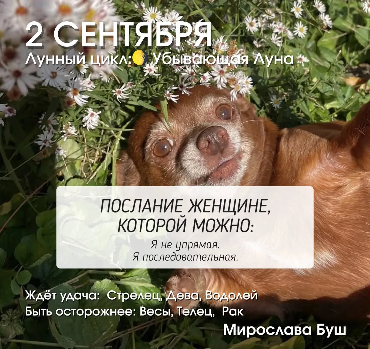 2 сентября РЕКОМЕНДАЦИИ 🔥