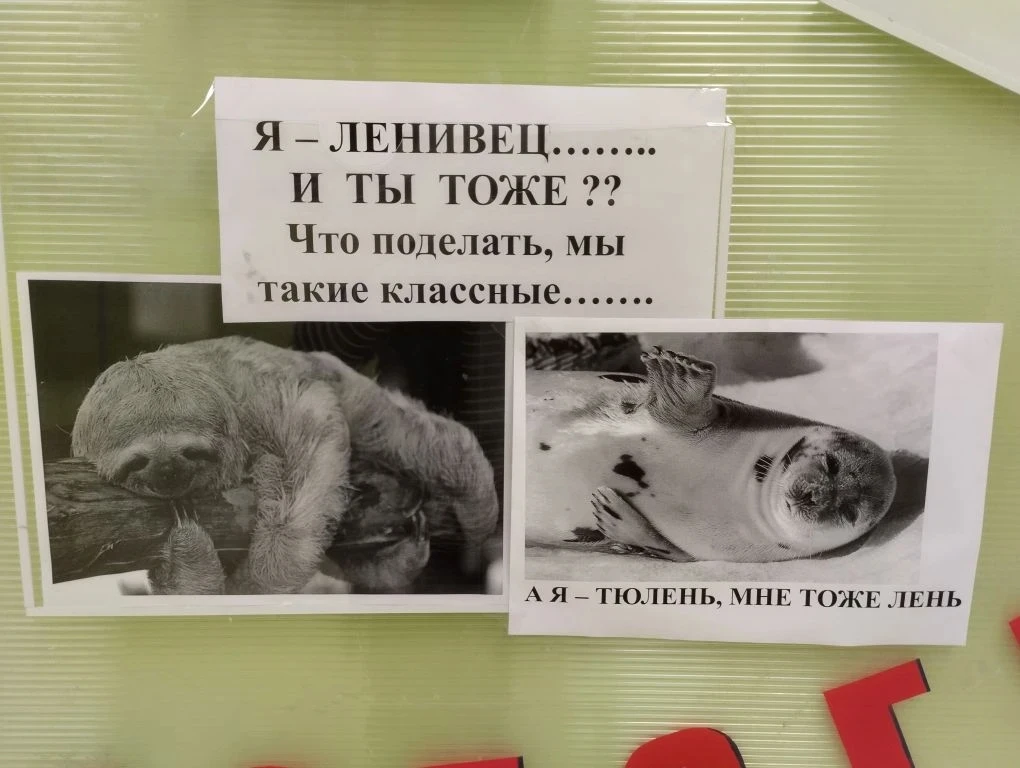 Все мы иногда ленимся, и это нормально!🦥  Но лень не должна становиться образом жизни, ведь бездейст