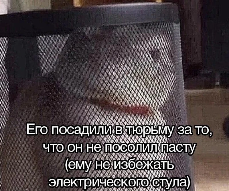 Мемы каждый день • Подписаться