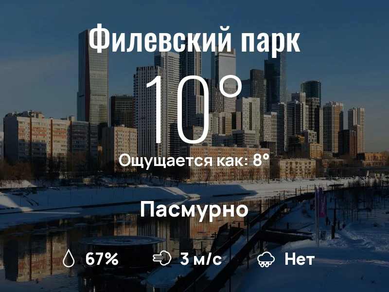 Что с погодой в Филевском парке?