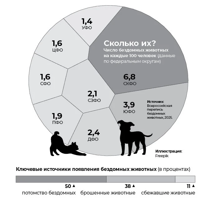 #15 августа - Международный день бездомных животных
