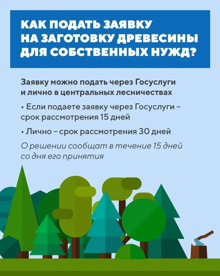🏠 Строите дом, чините крышу или заготавливаете дрова?

В Карелии можно получить разрешение на загот