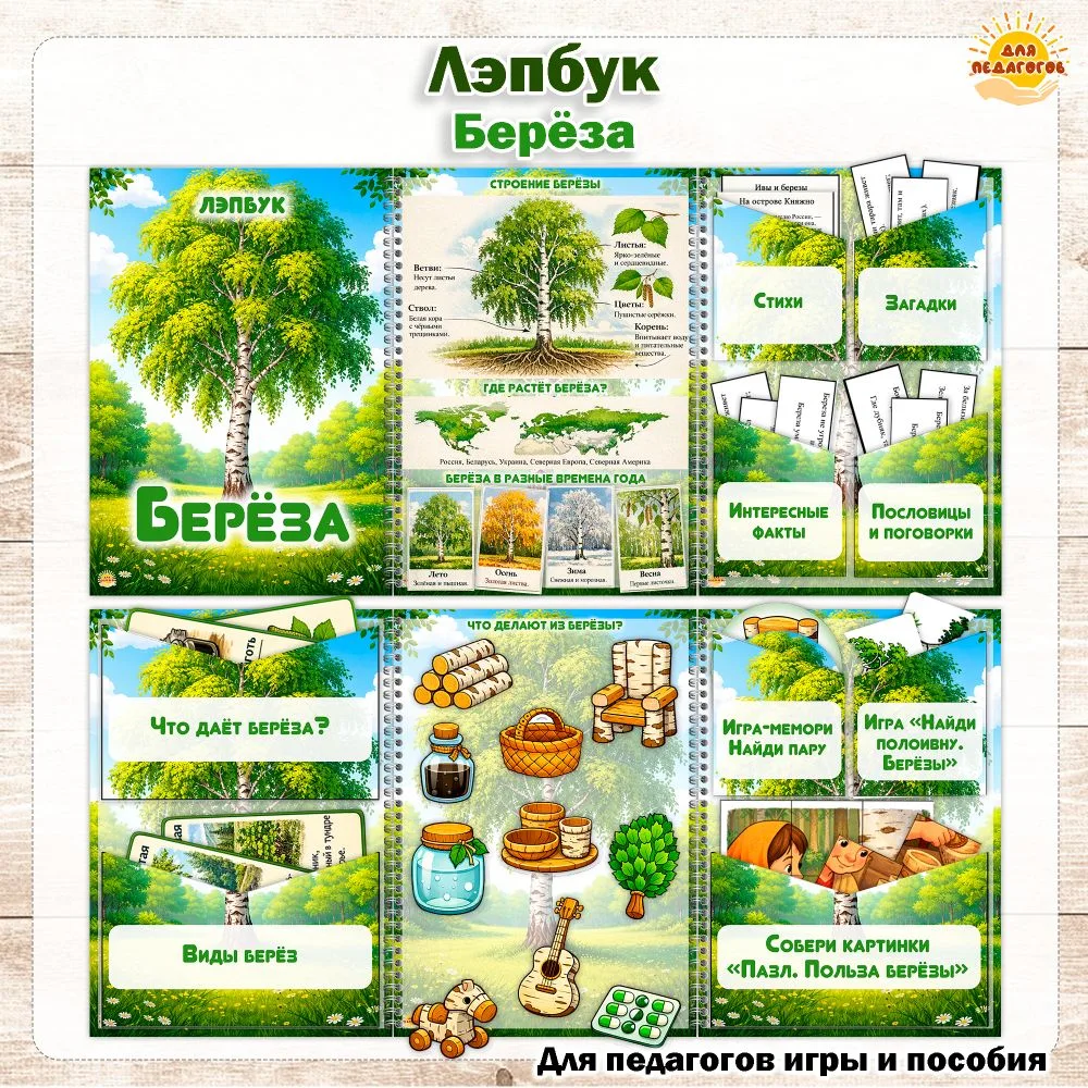 Лэпбук Берёза