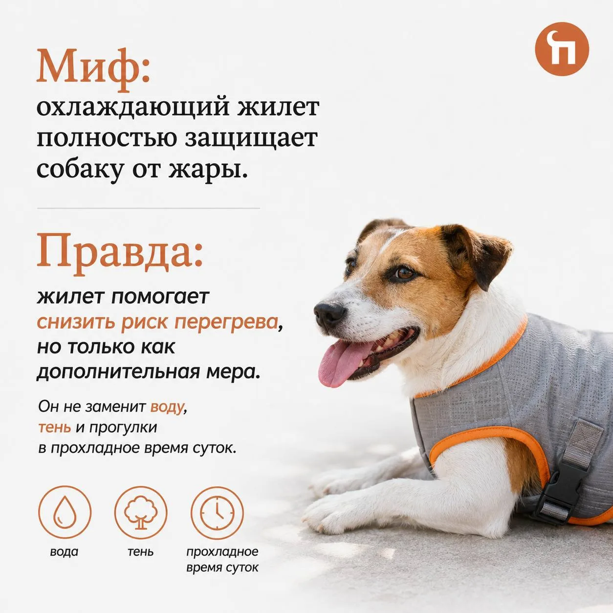 🤔Охлаждающие жилеты для собак вызывают пневмонию и бронхит. Как думаете, это правда или миф? 

Разб
