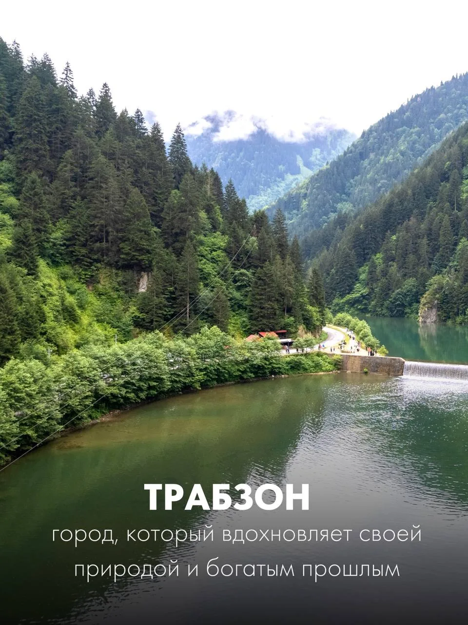 Изображение 4 к публикации «Астория Гранде | Морские круизы»