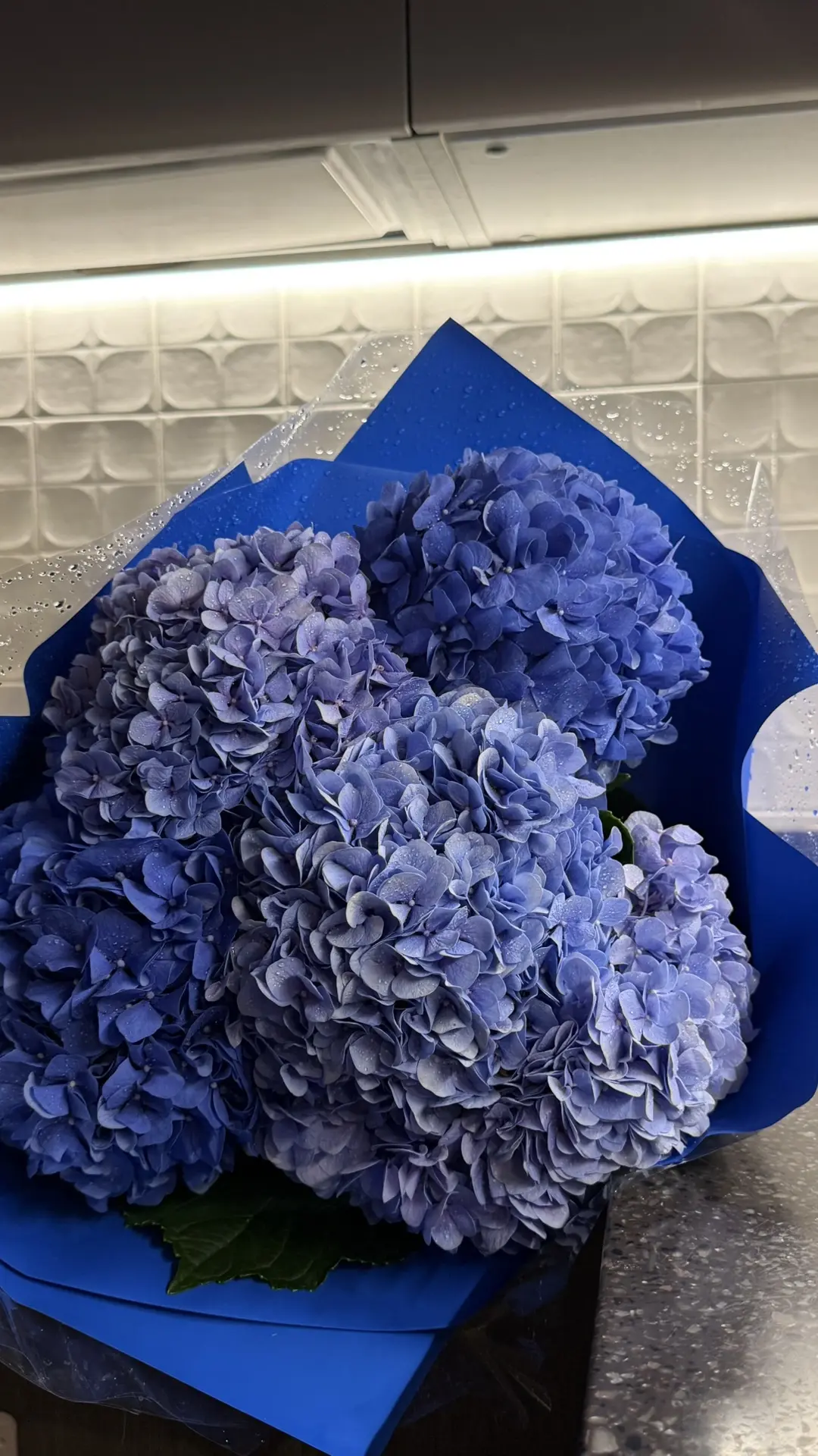 Красоты нам💙💙💙