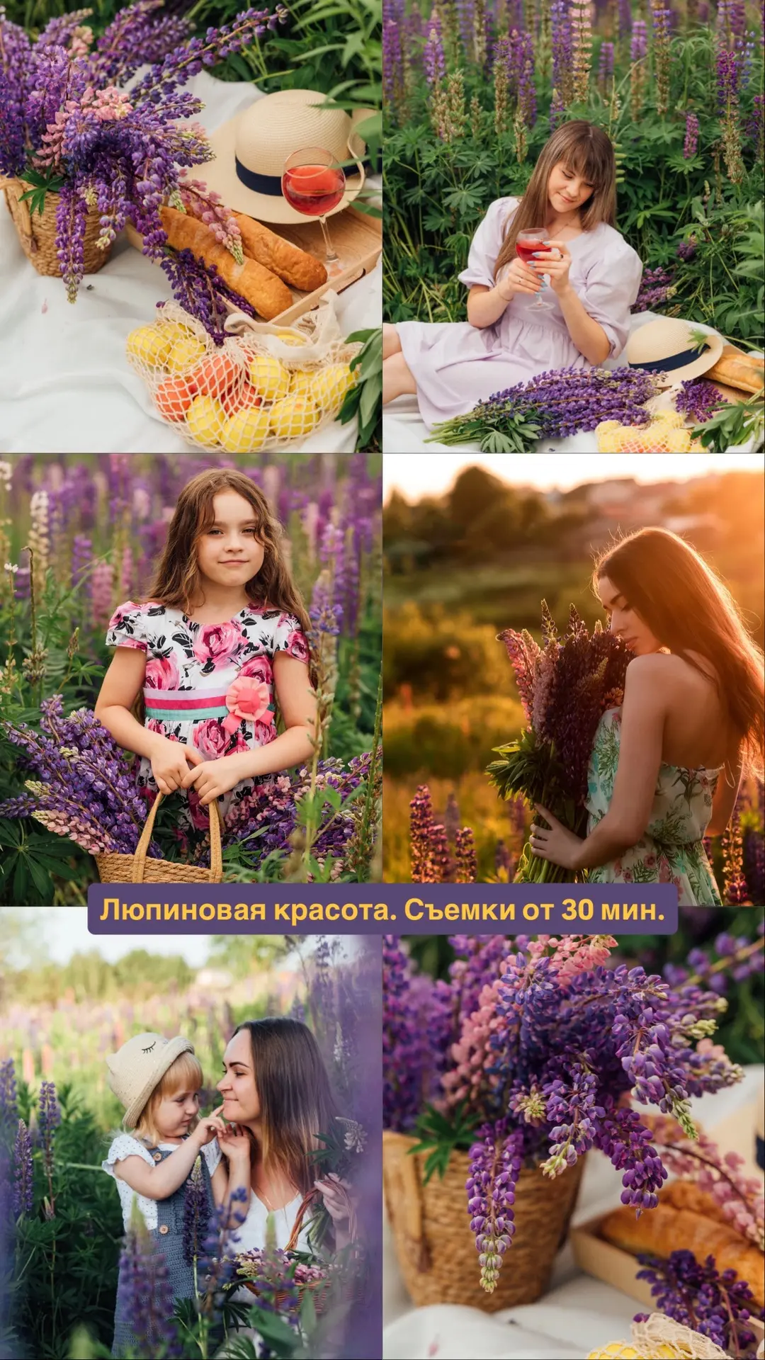 Люпиновая красота🌸!