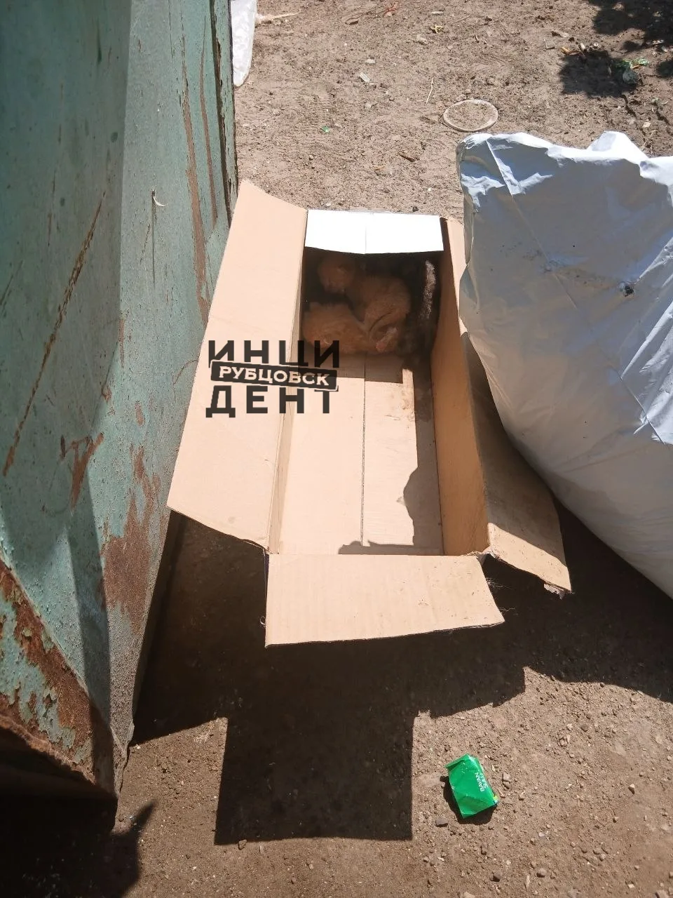 ⚠️ Нечеловеческий поступок