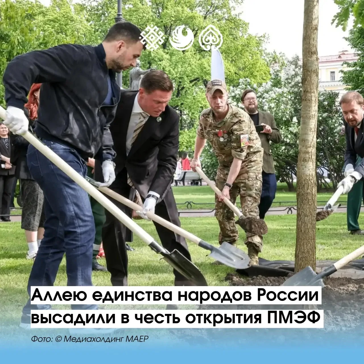 🩵В Санкт-Петербурге прошла акция по высадке лиственной аллеи единства народов России –...
