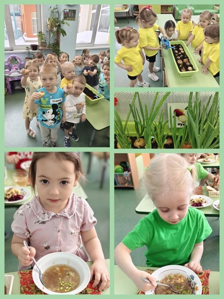 ✨Наши ребята из младшей группы очень старались! ☺Огород посадили и растили🌱, получили результат!🧅�