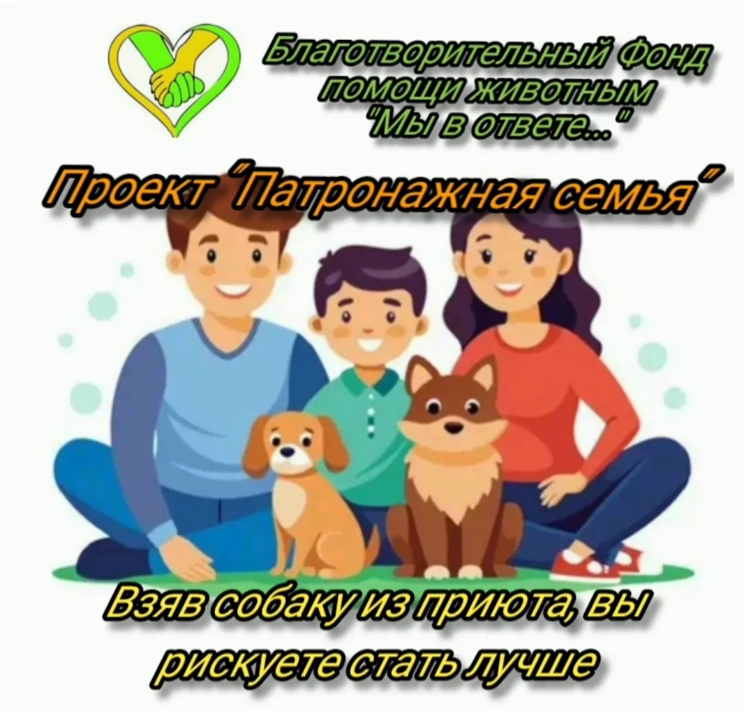Наконец-то мы можем заявить о нашем проекте "Патронажная семья", который проходит в рам...