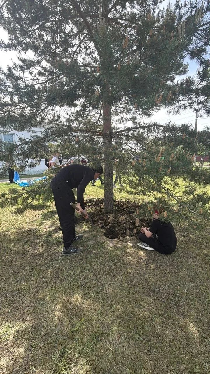 🌷В рамках "Весенней недели добра" и подготовки к Последнему звонку🔔 сегодня в нашей ш...