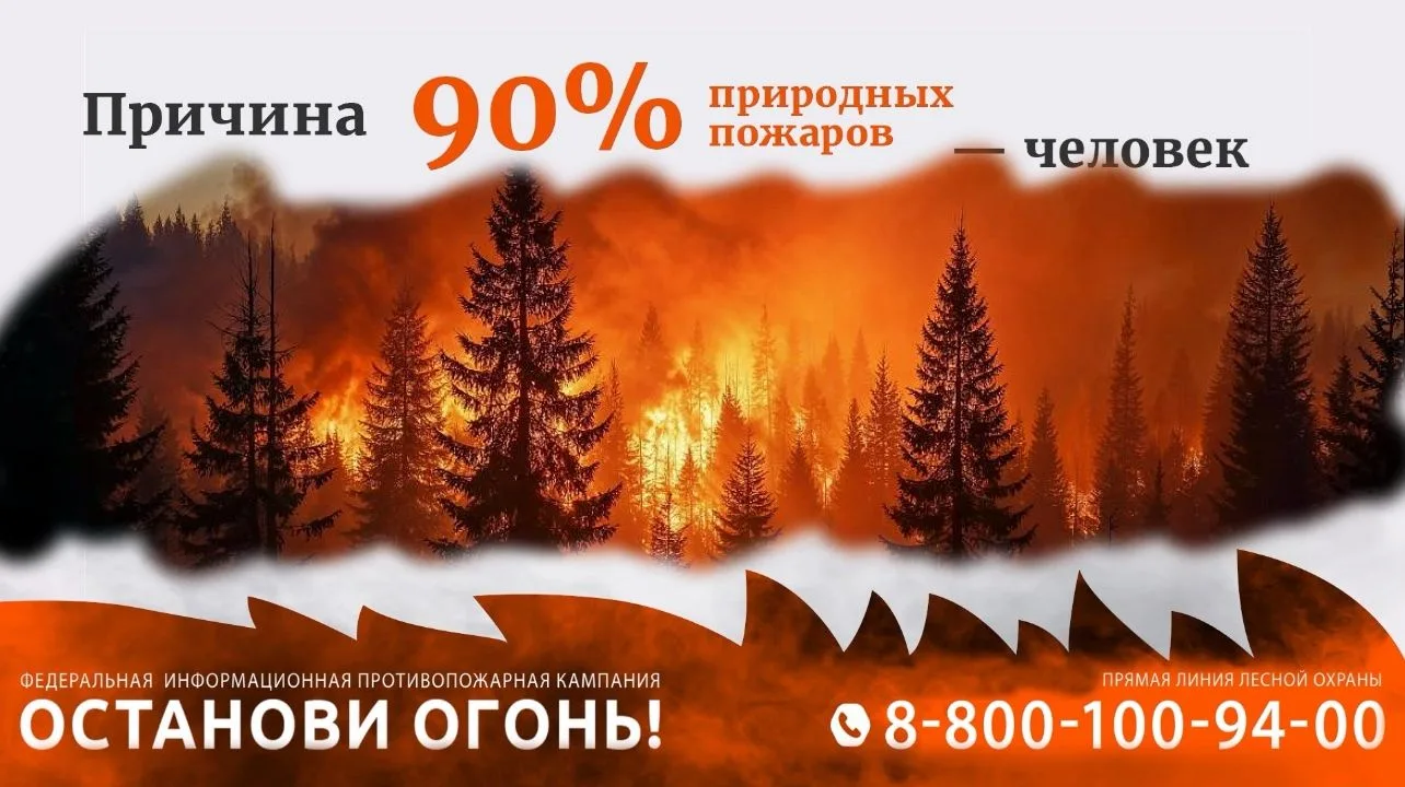 С наступлением весны возрастает риск лесных пожаров из-за сухой травы, остатков прошлог...