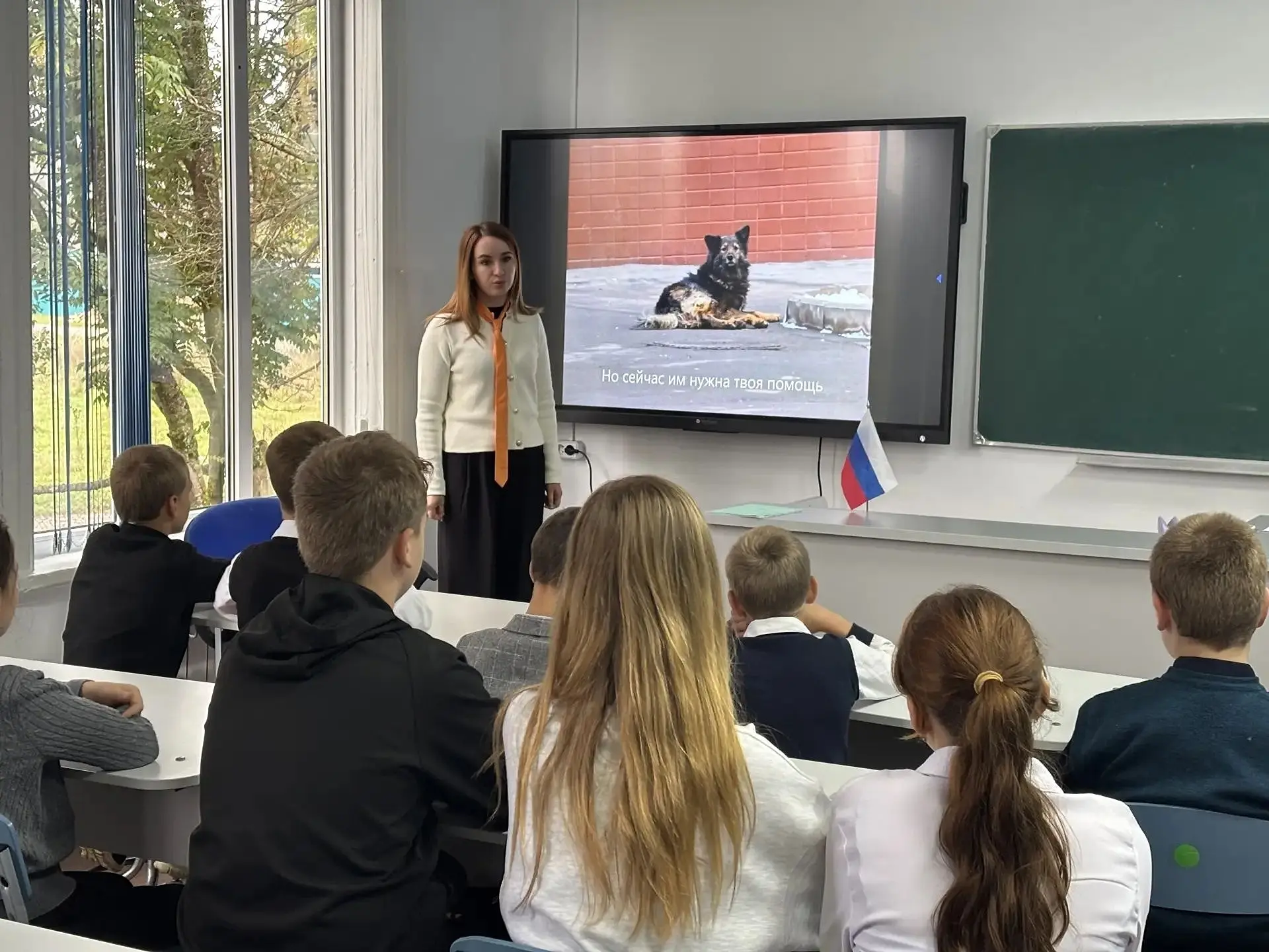 🐾 День защиты животных: важное мероприятие в нашей школе! 🐾