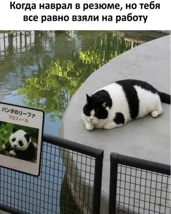 КуЗьМа в ТеМе