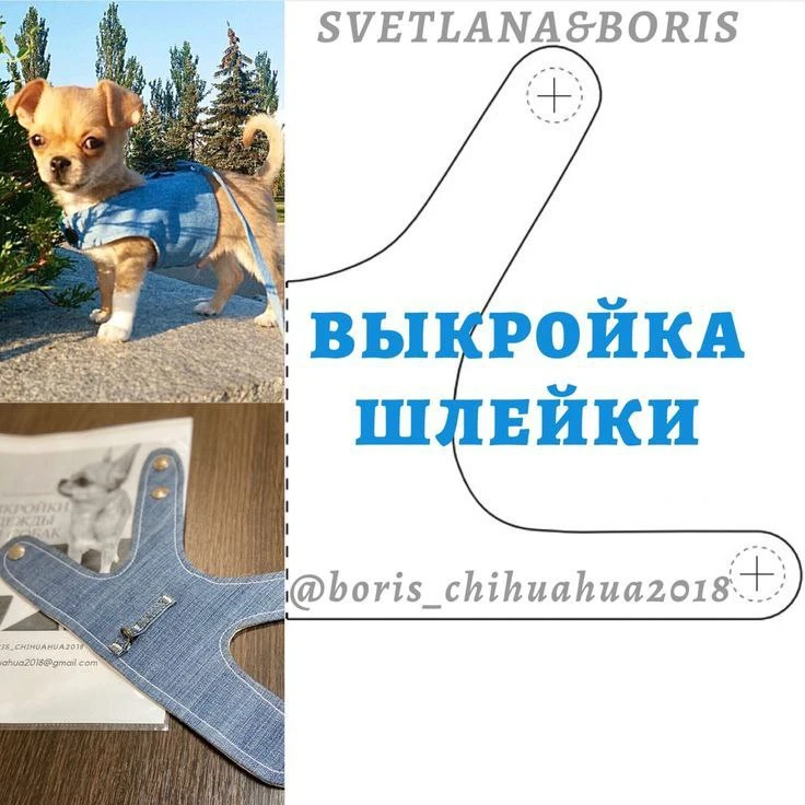 Шлейка на собаку.