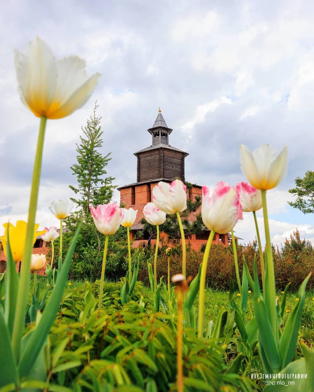 Город цветет 😍  📸 Никита Духник