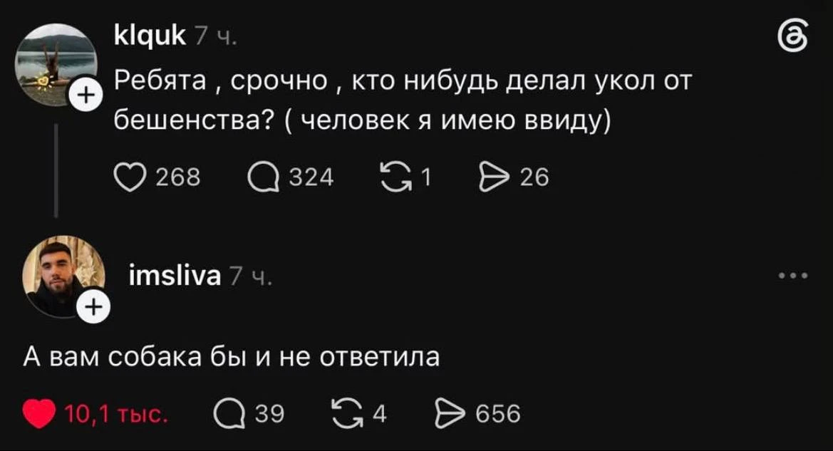 🐈‍⬛ Белее белого