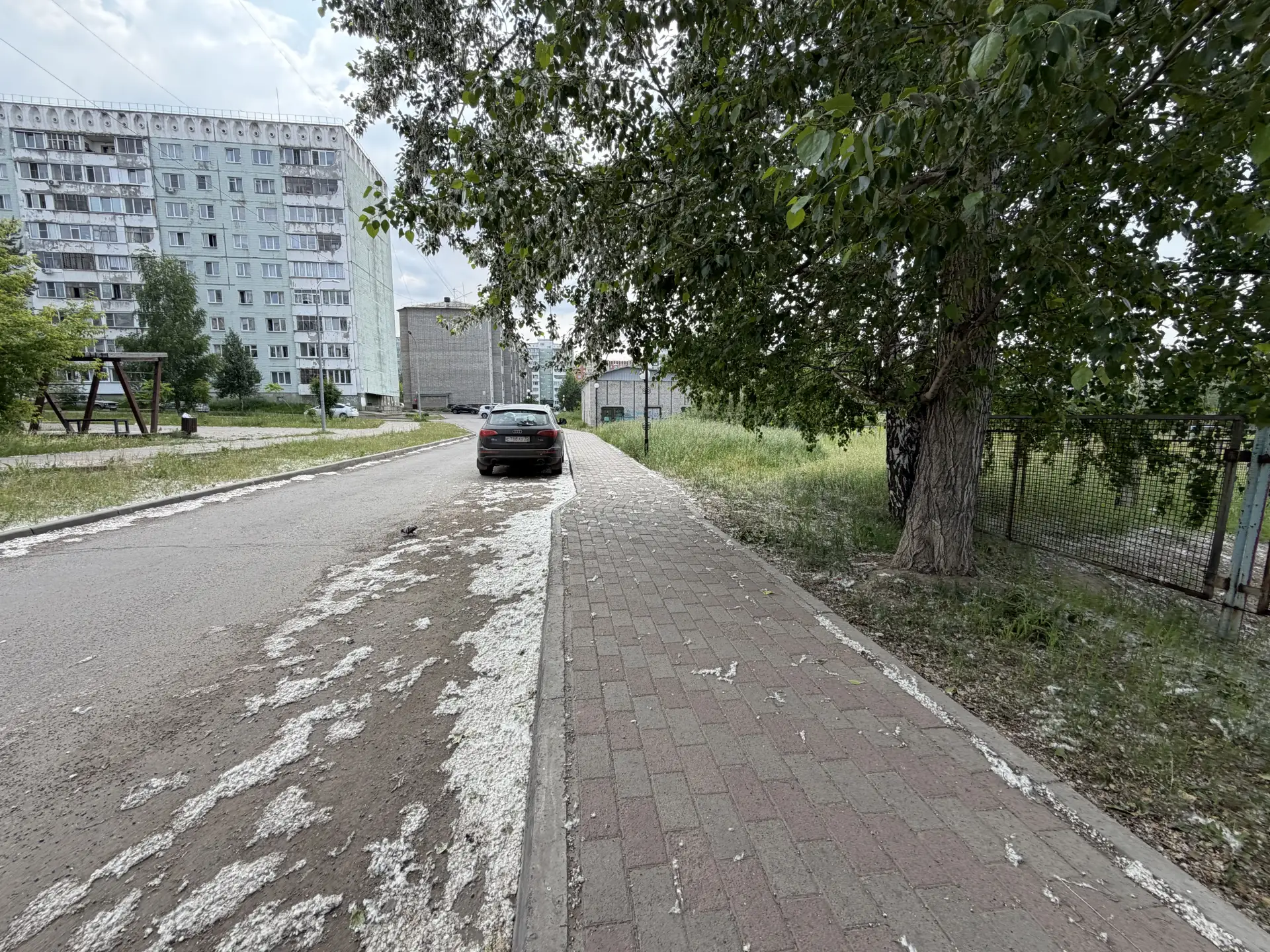 В Сосновоборске начался сезон тополиного пуха. Что делать?

Тополиный пух, жара... и аллергия. В Сос