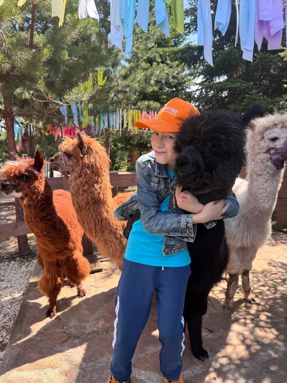 Пушистые профи 🦙

Пусть глазки-бусинки и умилительные мордашки не сбивают вас с толку: перед вами н