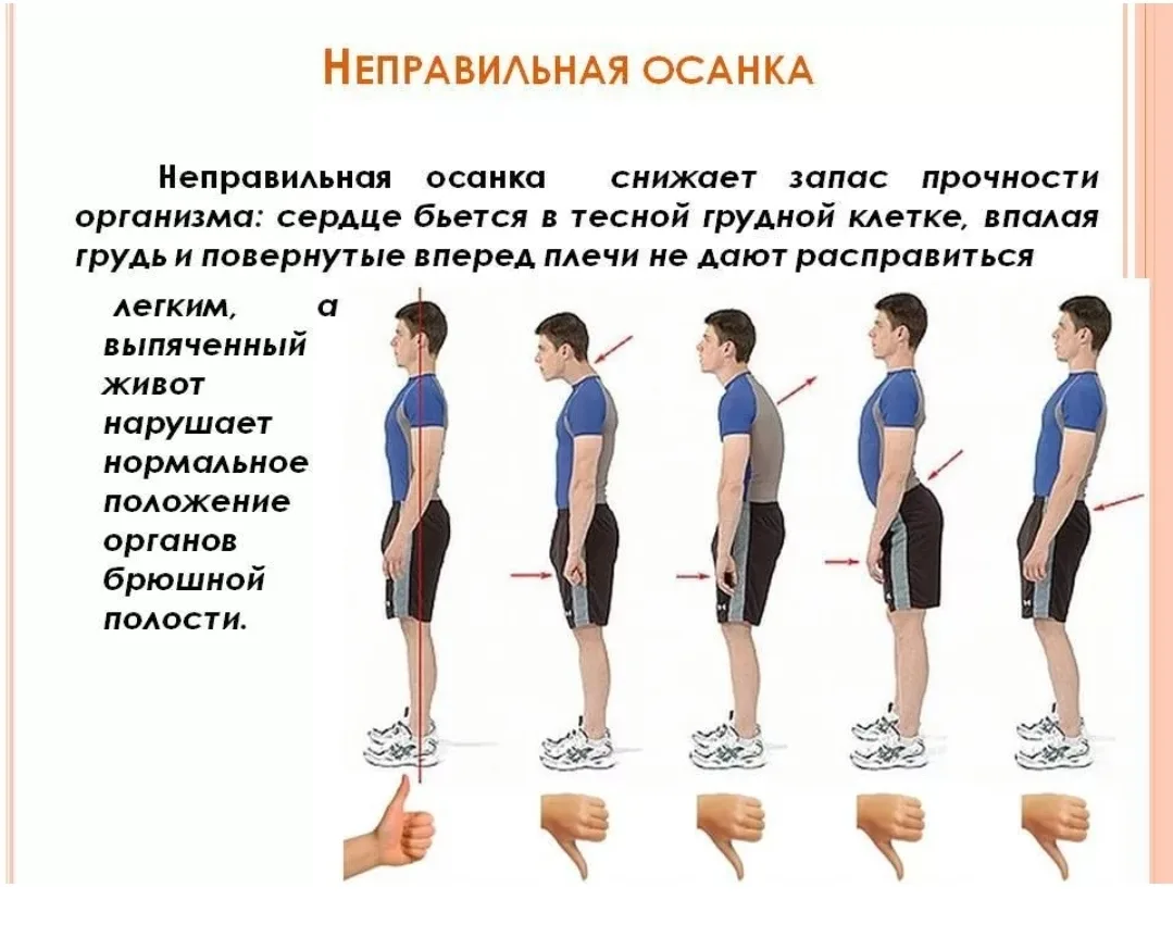 🤸Позвоночник – это каркас нашего тела. Он позволяет сохранять вертикальное положение🚶...