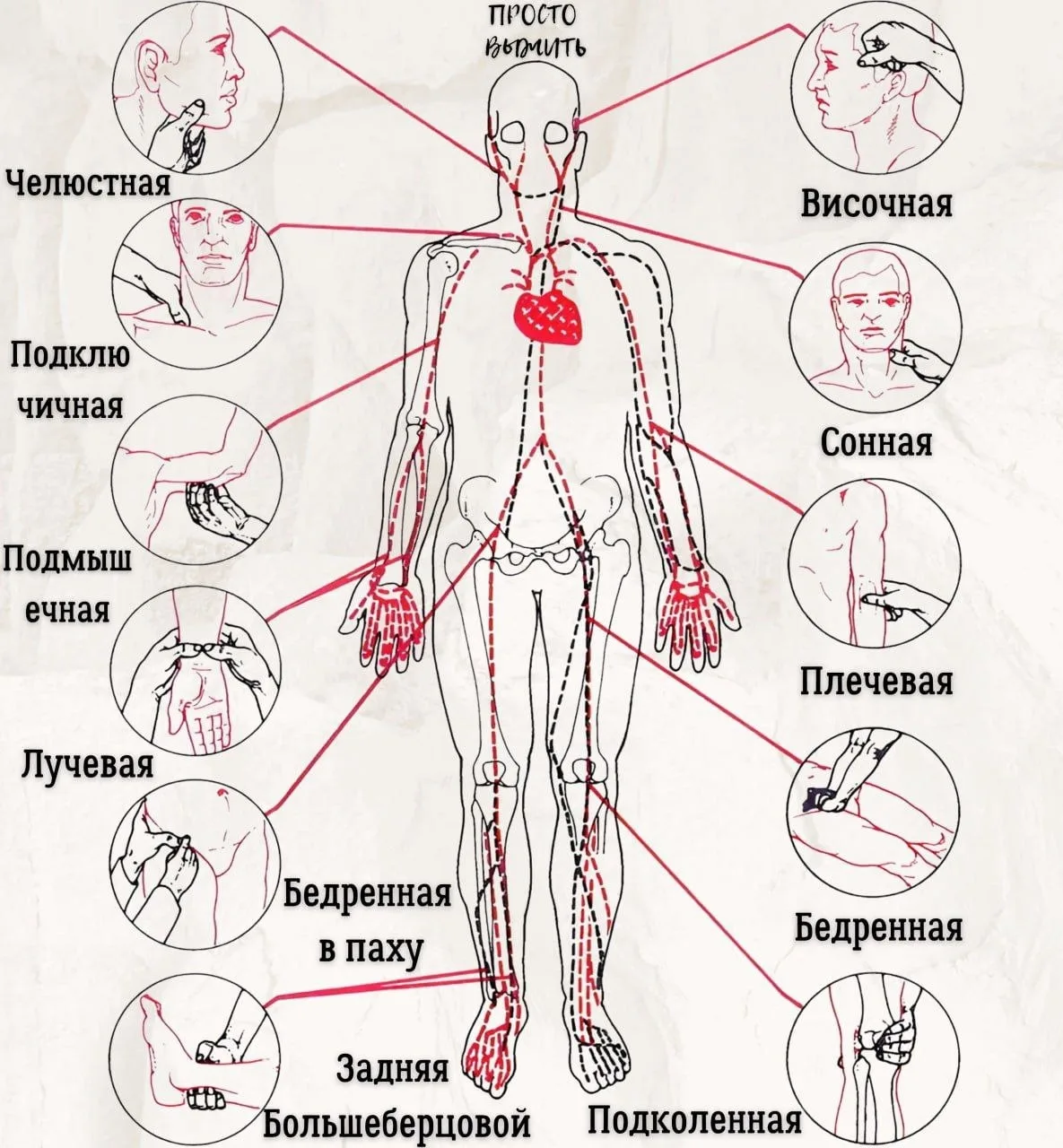 ТАК | МЕД