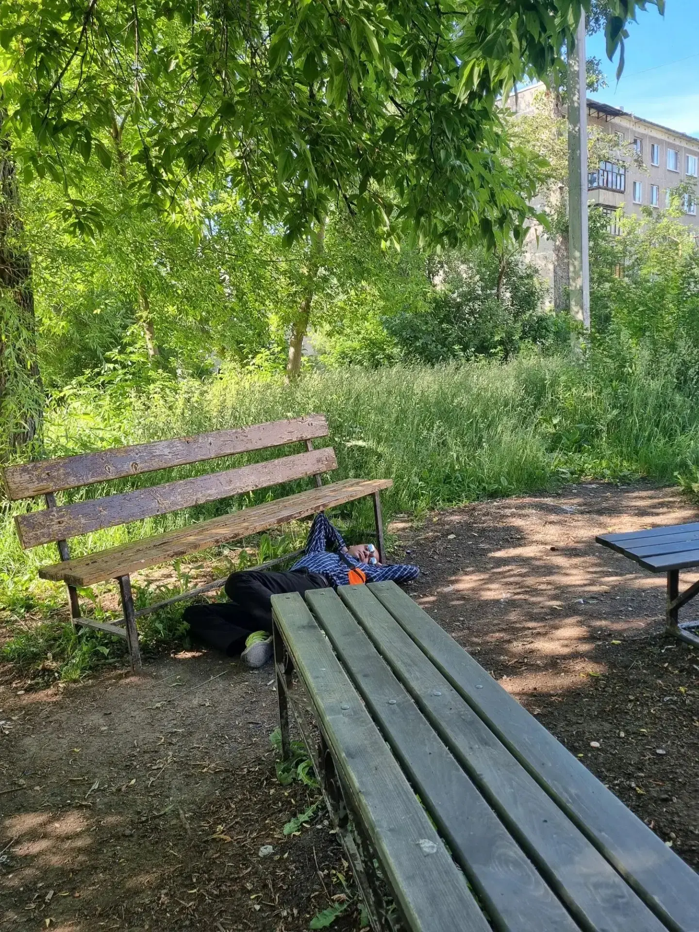 💪 Вокруг куча скамеек, но мужик не ищет легких вариантов! 
Сквер встречи поколений

Подписаться на 