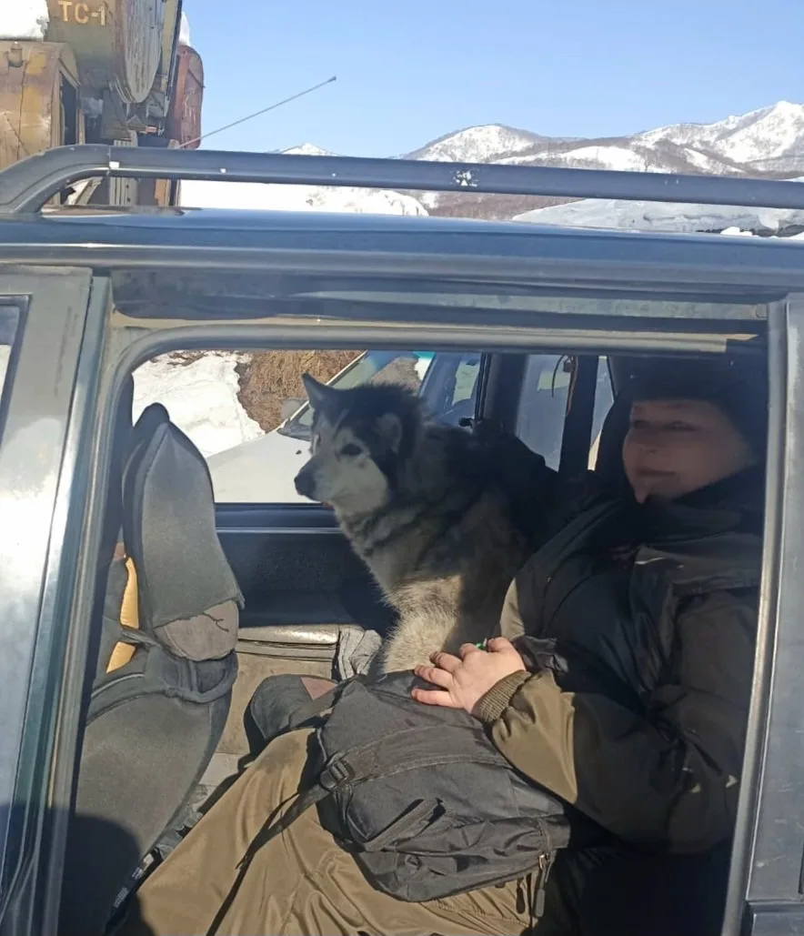 На днях Хася уехала в семью! Уже успела покорить сердца всех домочадцев и  найти друзей!