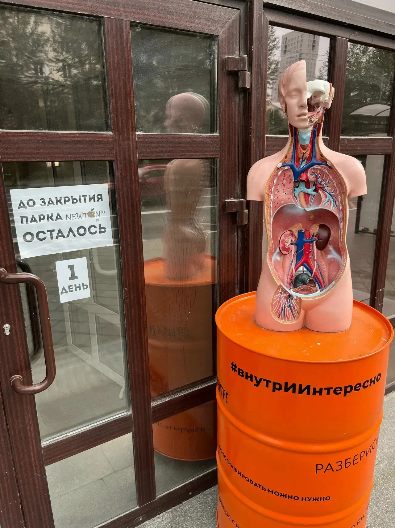 🍏 До закрытия Ньютон Био остался 1 день! Успевайте посетить наш парк по анатомии человека
🍏 Телефо