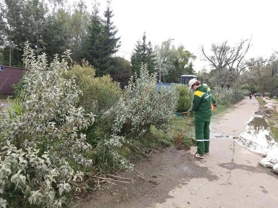 В Сестрорецке идут работы по уходу за кустарниками. Специалисты АО Озеленитель” приводя...
