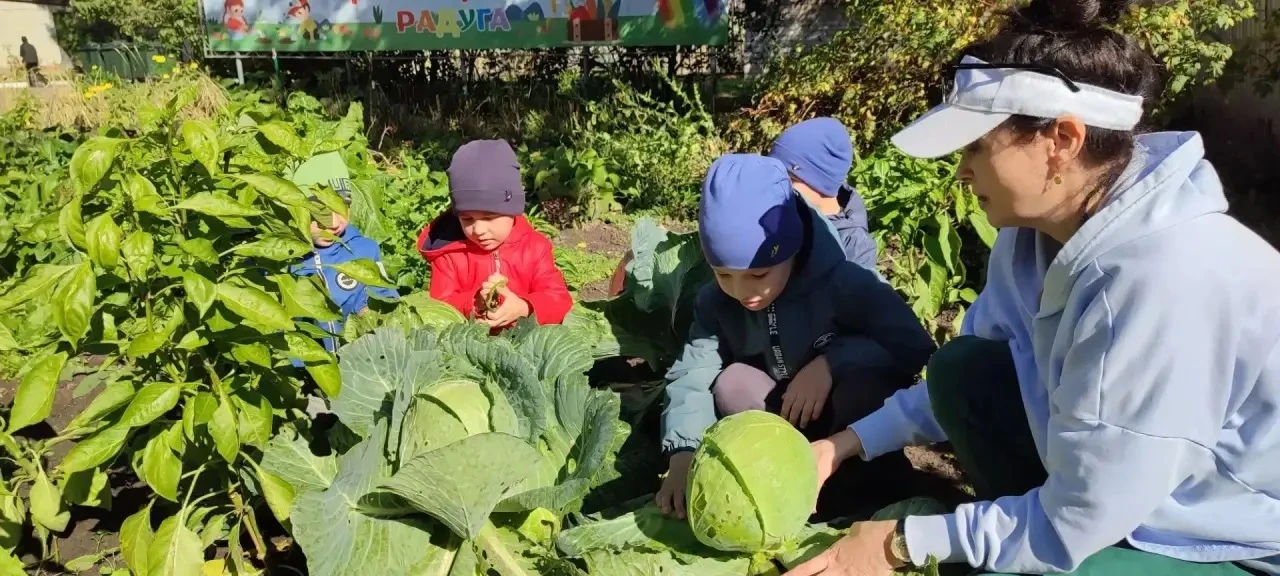 🥦🥬 Юные агрономы в деле: в детском саду «Радуга»Ибресинского округа собрали отличный ...