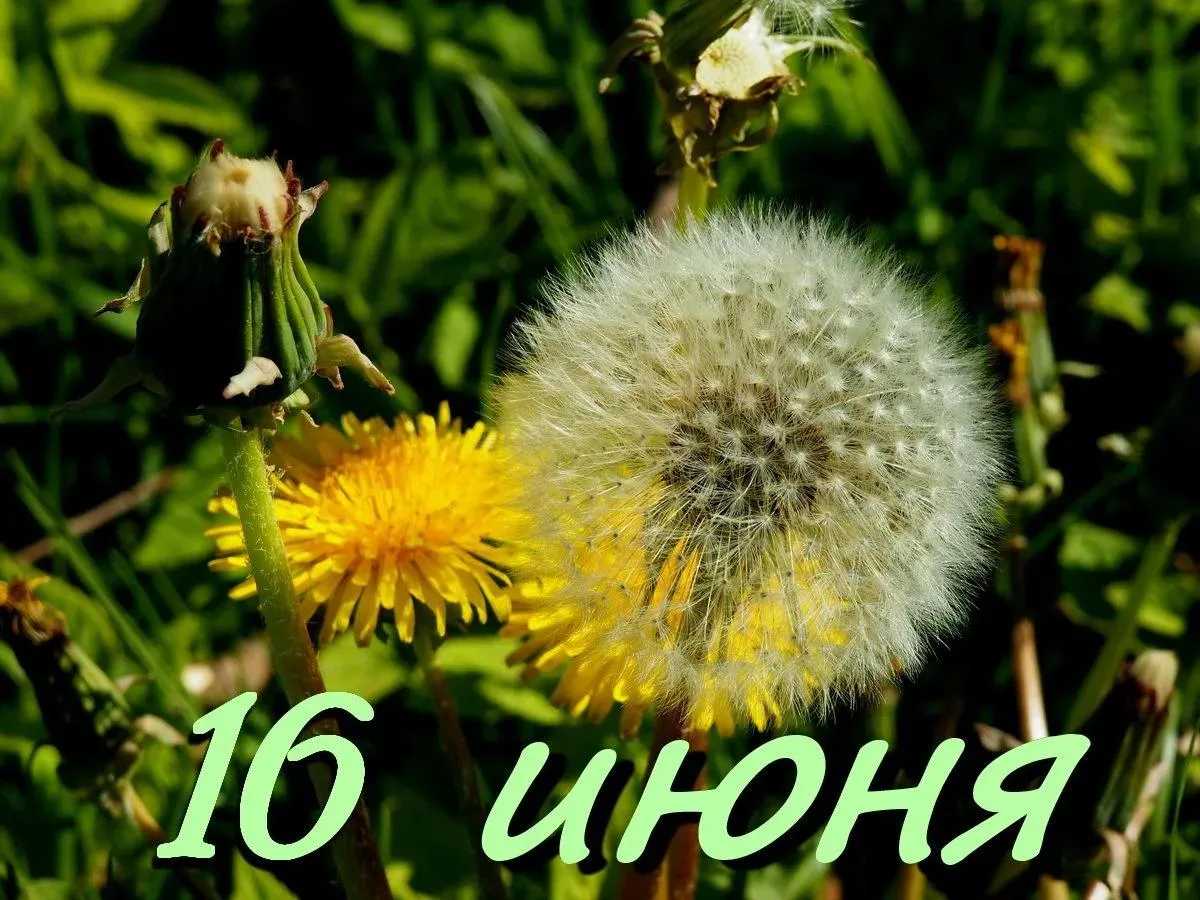 Доброе утро!

Сегодня, 16 июня, отмечают День рождения международного детского центра «Артек».

Сино