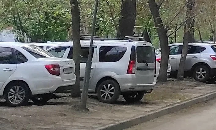 🚗 Парковка на газонах: куда сообщать о нарушениях?