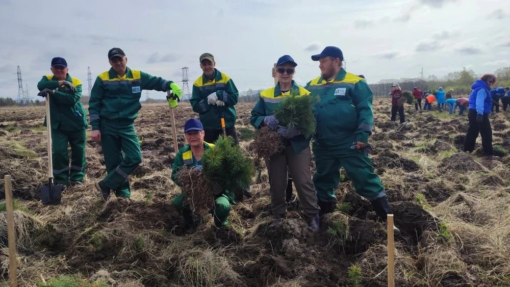 🌲Сотрудники Лесозаводского филиала Примтеплоэнерго приняли участие в масштабной экологической акции 