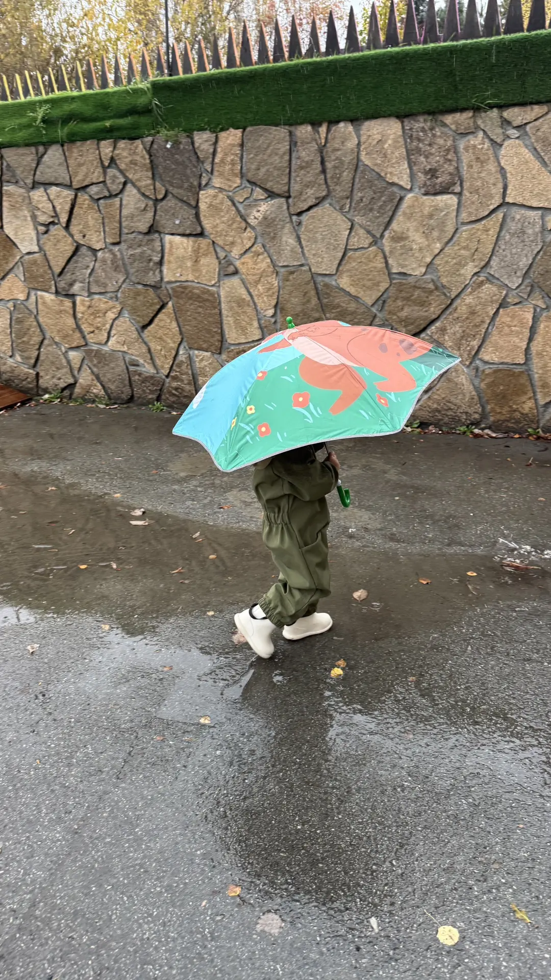 Доброе дождливое утро 🌦️