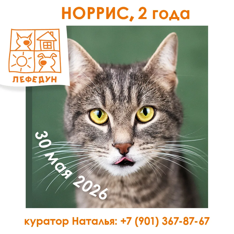 Весной время летит стремительно - еще недавно сугробы и ненастье и вот уже буквально че...