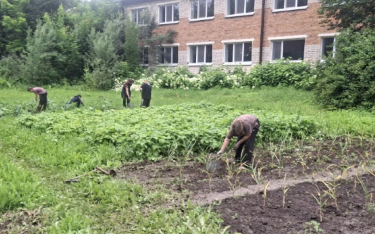 Для школьников лето — это не только пора отдыха, но и время работы трудовой практики на пришкольном 