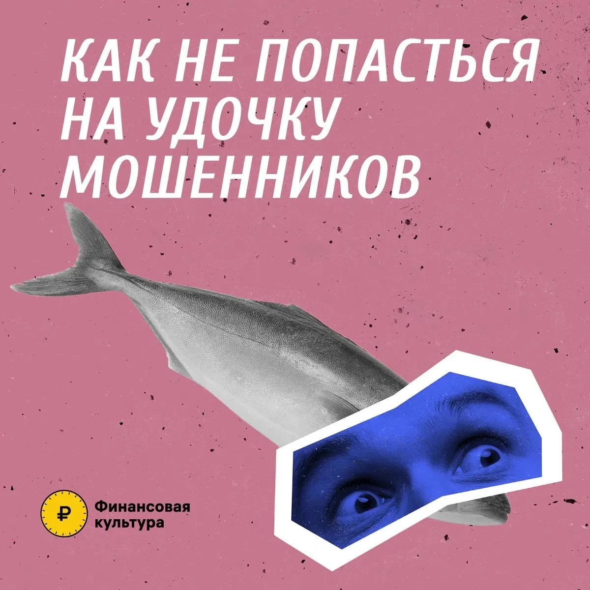 ОМВД России по Шамильскому району предупреждает!