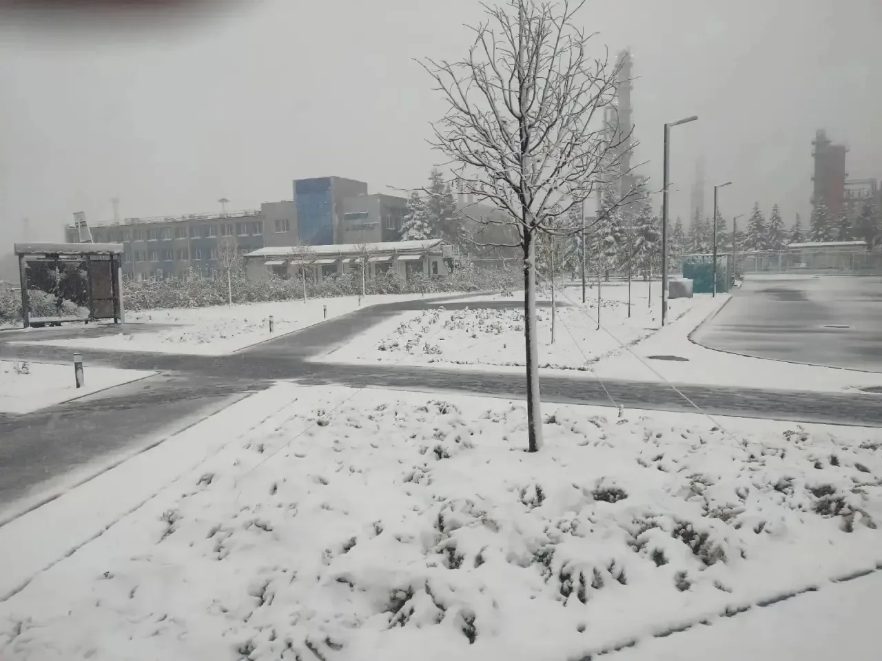 Зима ❄️